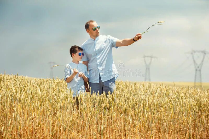 Отец и сын на пшеничном поле. Farmers father save the innocence
