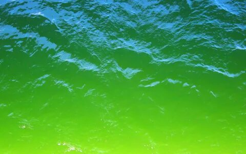 Sea green