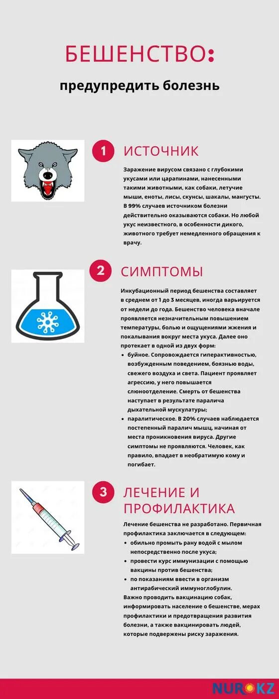 прививка от бешенства собаке справка. вакцина от бешенства для человека после укуса. бешенство схема прививок от бешенства. введение вакцины бешенства. схема привипрививок от укуса собаки.