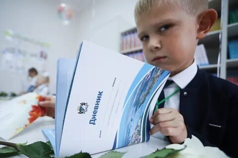 Советники по воспитанию в школах 2023