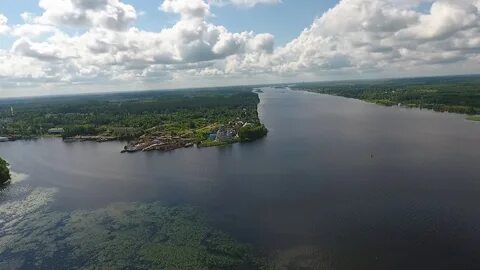 Волга кимры