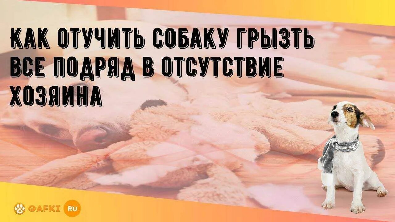 Как отучить щенка грызть все подряд. Как отучить щенка грызть всё подряд. Как отучить собаку выть. Как отучить собаку гавкать дома. Как отучить собаку от лая.