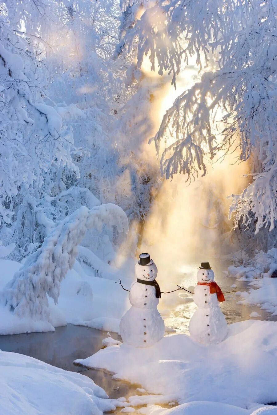 Снежный день на русском. Винтер Сноумен Винтер. Сказочная зима. Сказочные зимние пейзажи. Красивая зима.