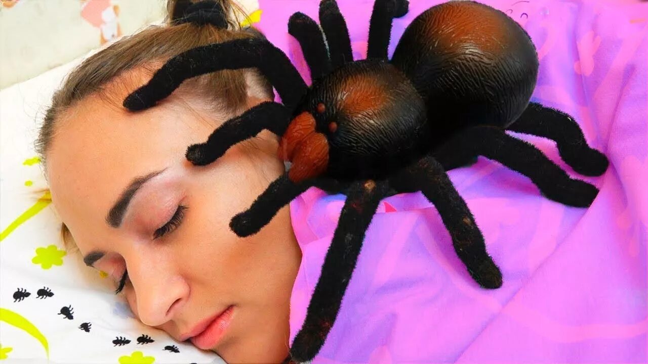 Дети пауков. Интересные паучки. Про пауков для детей видео. Паук для детей. Паук мизгирь крестовик.