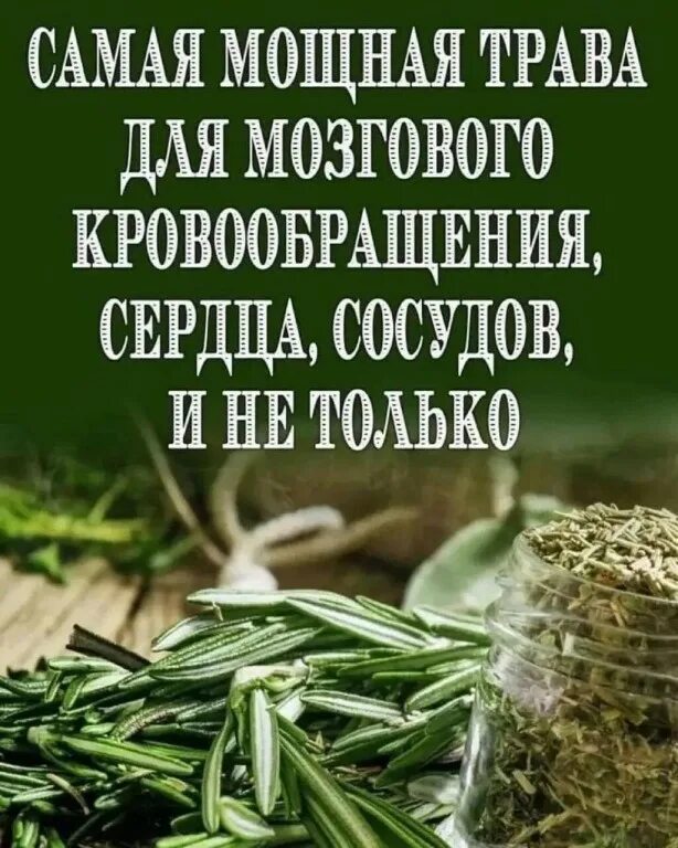 Народные средства. Масло из одуванчика для суставов. Мозгового. Пот народное средство. Самые мощные народные средства.