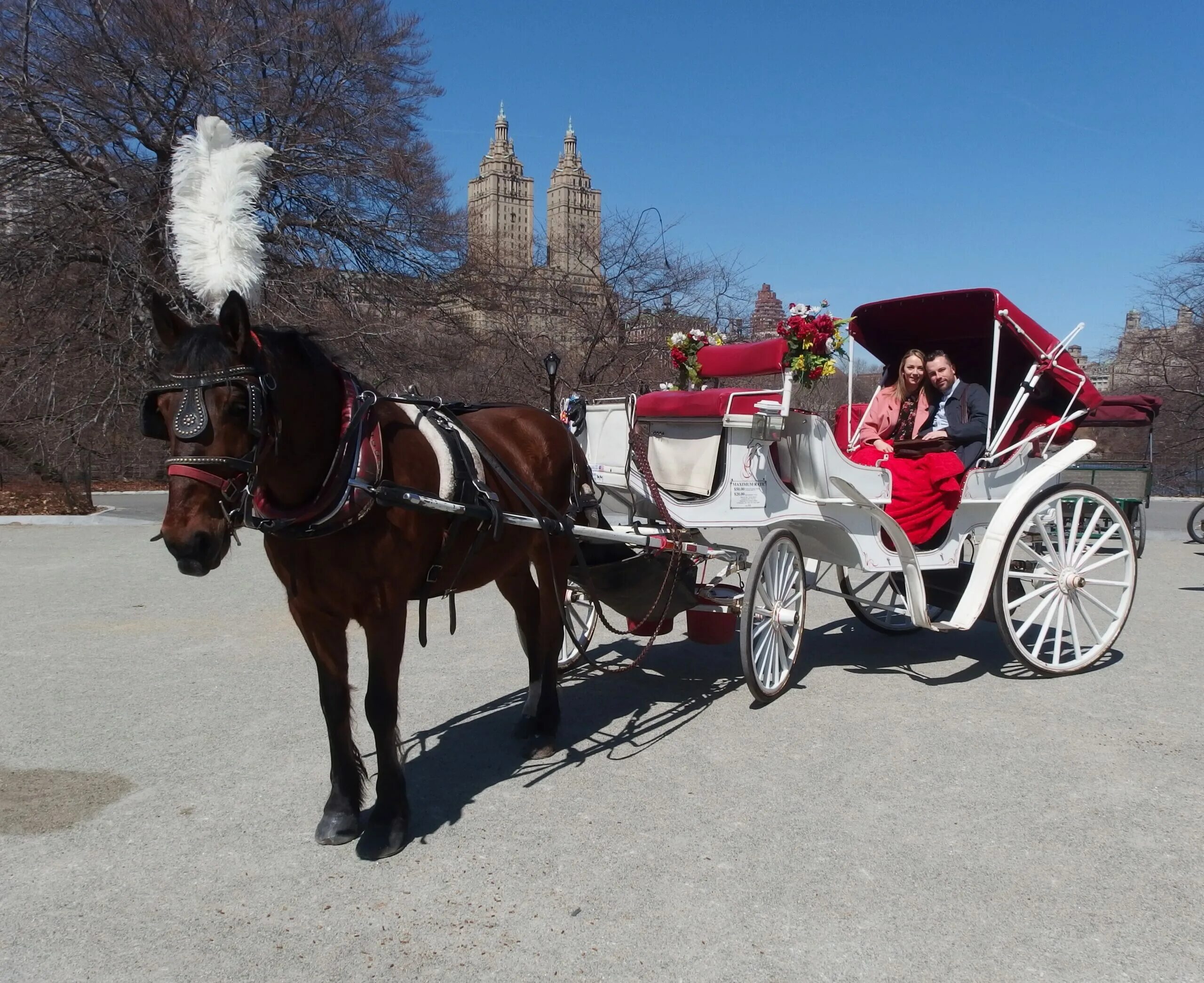 Riding round. A Horse and Carriage Ride in Central Park. Carriage Ride. Мустанг карета. Паб карета и лошадь Лондон.
