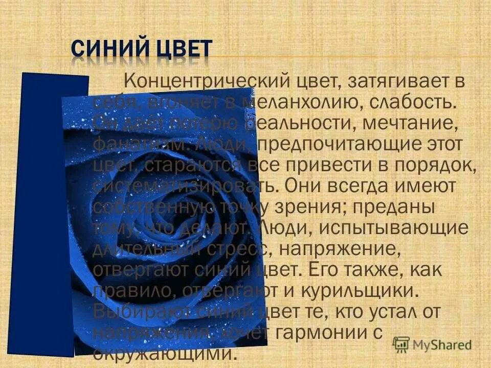 Полюбила голубого. Синий цвет. Синий цвет в психологии. Люди которые любят синий цвет. Синий и голубой цвет в психологии.