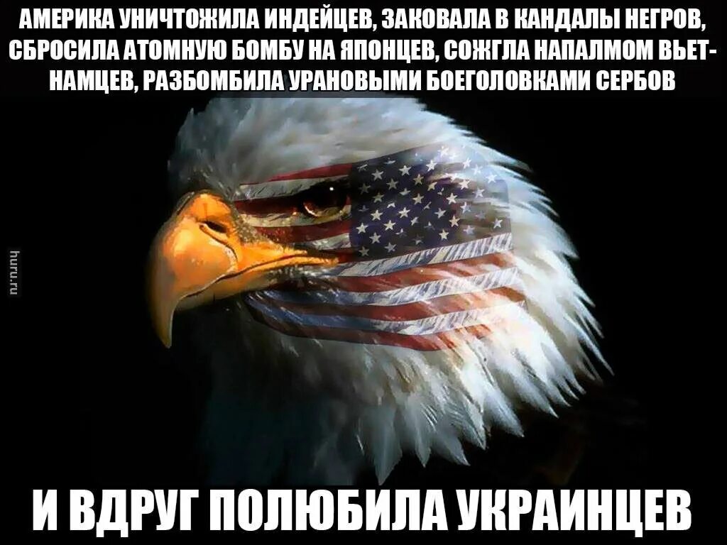 Америка уничтожила индейцев и вдруг полюбила украинцев. Америка уничтожила индейцев. Америка вдруг полюбила украинцев. И вдруг полюбили украинцев.