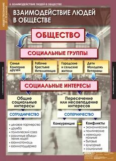 Мини проект по обществоведению 10 класс