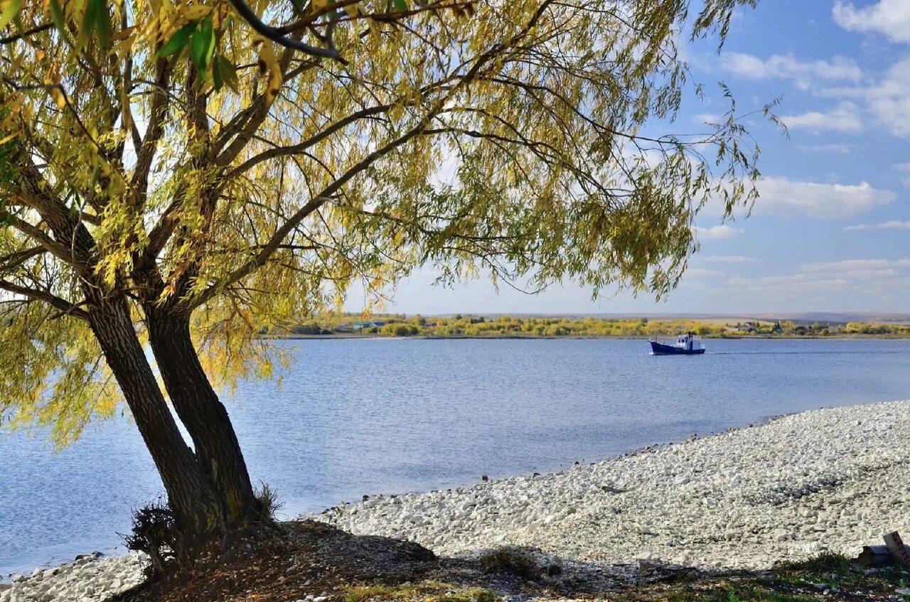 Новодевичье самарская область. Село Новодевичье Шигонского района. Осень в Шигонском районе. Подвалье Самарская область Шигонский район. Усолье Шигонский район.