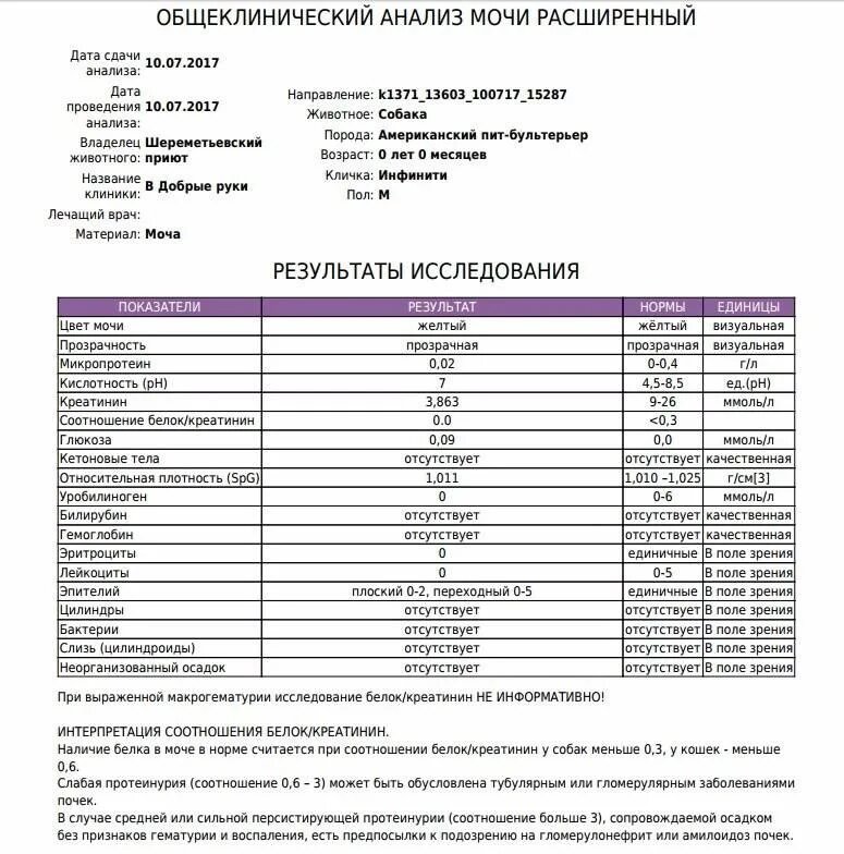 Кортизол креатинин. Общий анализ белка в моче при беременности норма. Белок в анализе моче норма у мужчин. Показатели белка в моче норма таблица. Белок в моче расшифровка анализа.