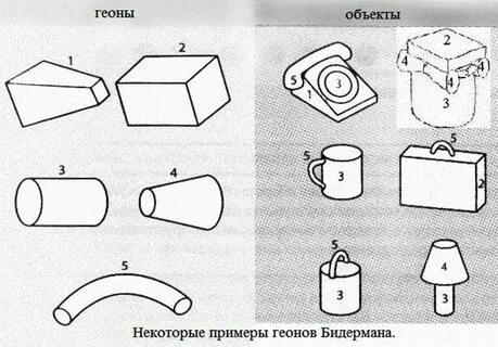 Объект рис