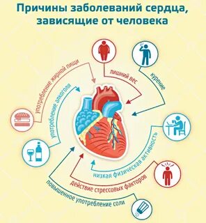 Симптомы сердечно сосудистых болезней
