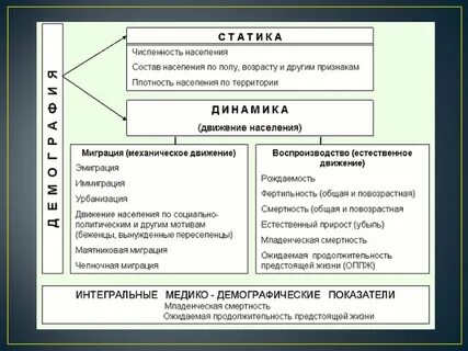 Назовите разделы демографии