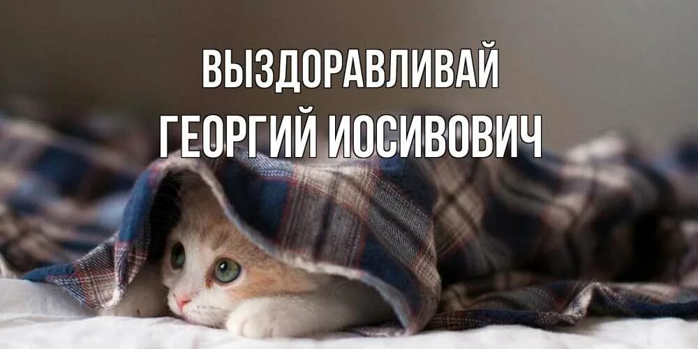 Выздоровить или выздороветь