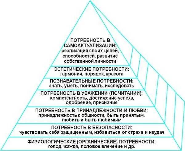 иерархия признаки