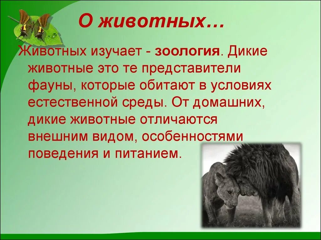 Про животных доклад 2 класс окружающий мир. Презентация про животных. Животные для презентации. Рассказы о животных. Проект животные.