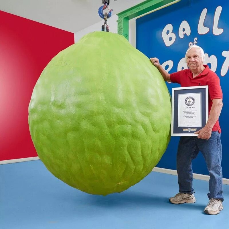 Сколько рекордов книги рекордов гиннеса. Самый большой лимон. Самые большие рекорты гинеса. Самый большой шарик в мире. Самый большой рекорд.