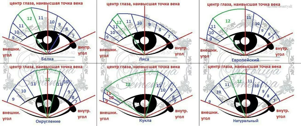 Натуральный эффект наращивания ресниц 2d схема. Беличий эффект наращивание ресниц 2d схема. Беличий эффект наращивание ресниц схема. Схема кукольного эффекта наращивания ресниц для начинающих.