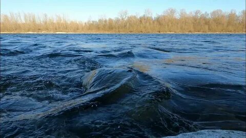 Видео водяная