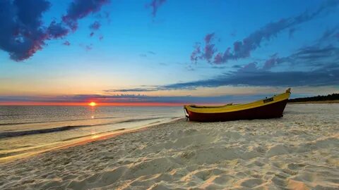 See summer