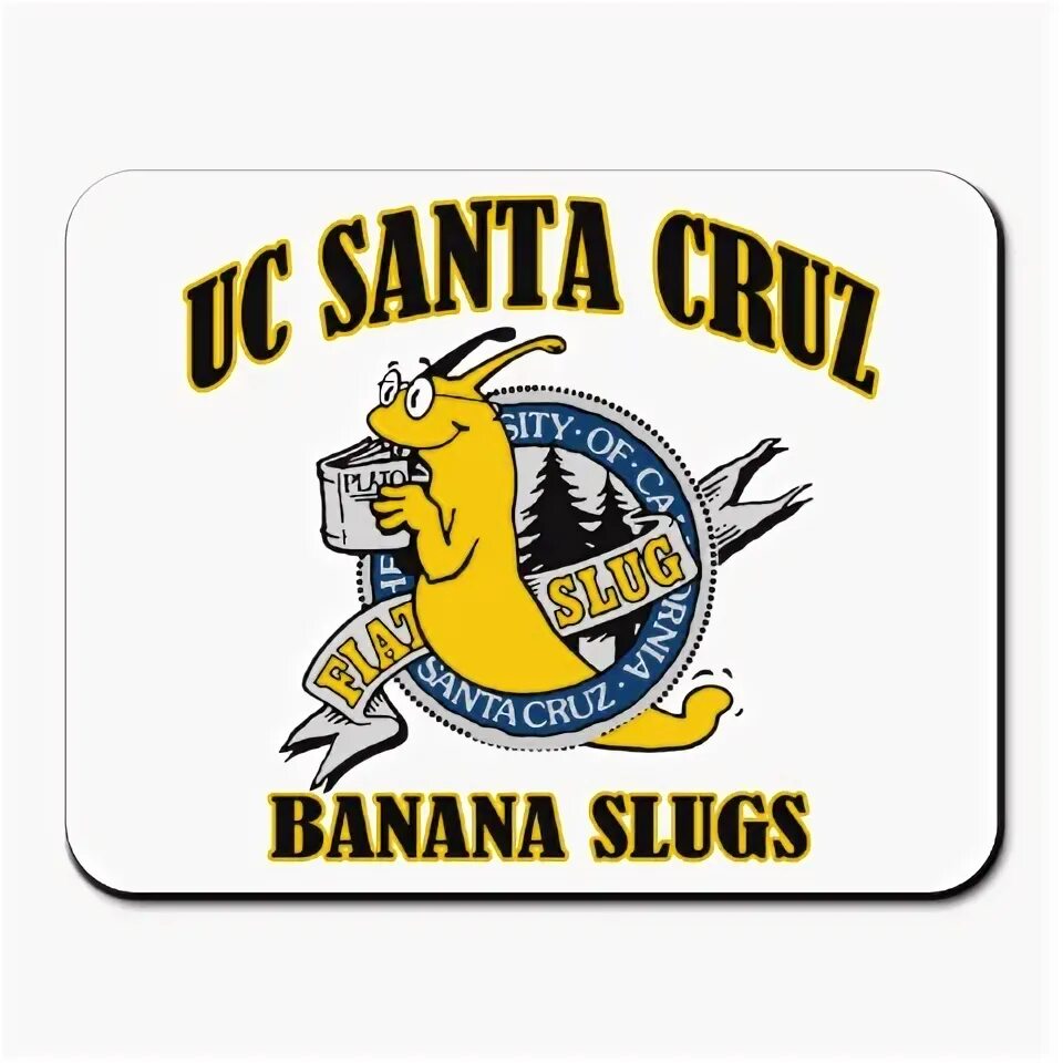 Банана круз. Банана круз. Банана круз. Santa cruz merch. Банана круз.