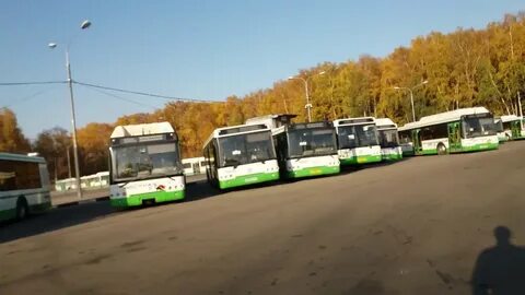 Где автобус 11