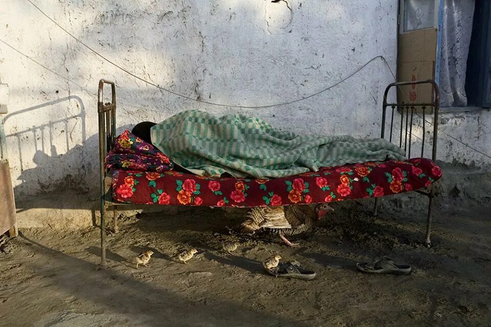 Узбекистан Бухарский люли. Анзор Бухарский фотограф. Бухарский цыган. Сколько время в узбекистане спят