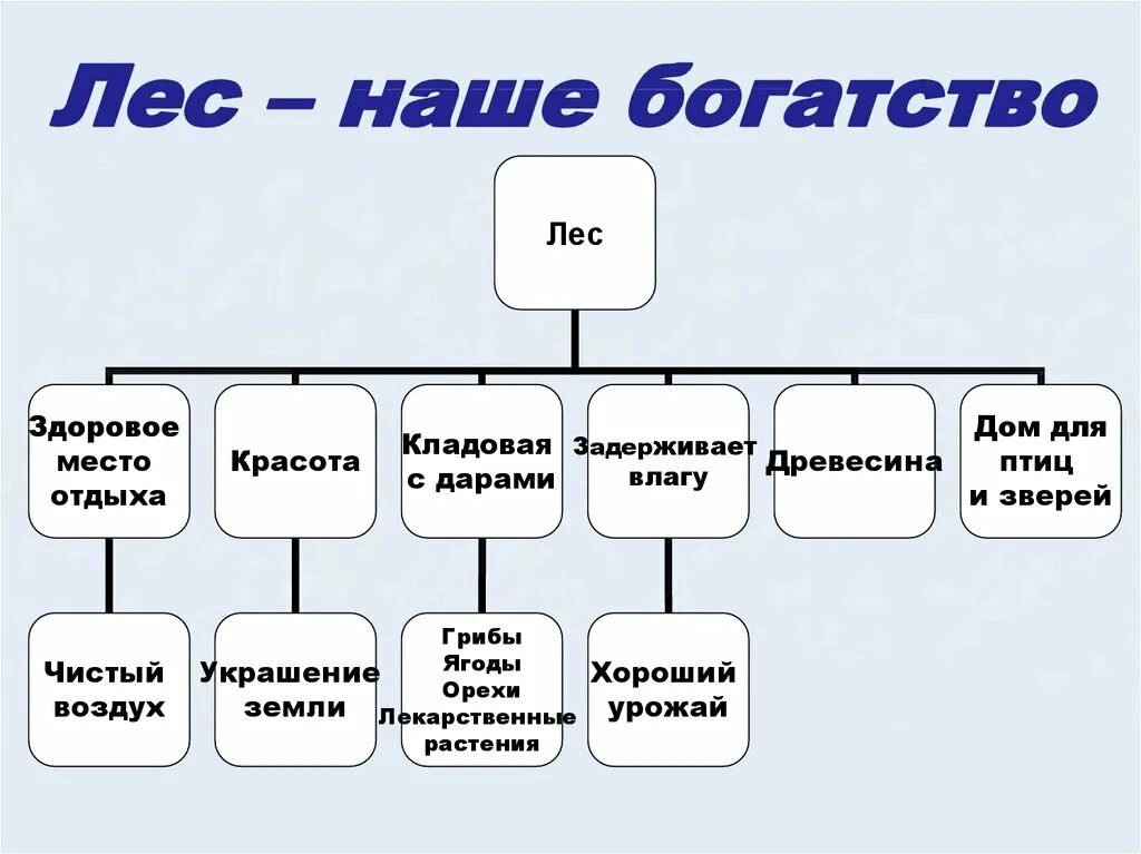 Как использовать богатство леса