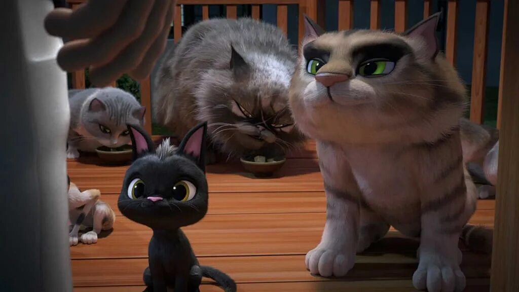 Жил был кот на русском языке. Жил был кот на русском языке