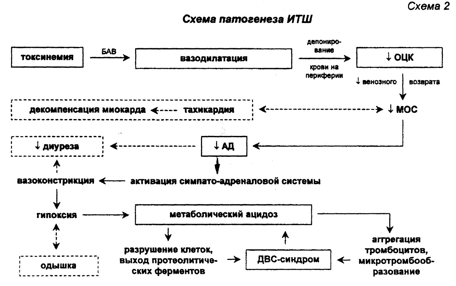 Уход за пациентом при гипертермии. Инфекционно-токсический ШОК. Инфекционно-токсический ШОК стадии. Инфекционно-токсический ШОК патогенез.