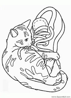Котики раскрашивать распечатать