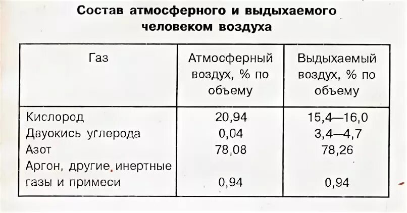 Дыши воздухом сколько. Состав атмосферного и выдыхаемого воздуха. Объем вдыхаемого и выдыхаемого воздуха. Состав выдыхаемого воздуха человеком. Состав выдыхаемого воздуха человеком в процентах.