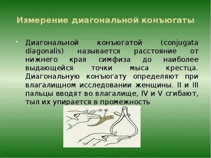 Конъюгаты