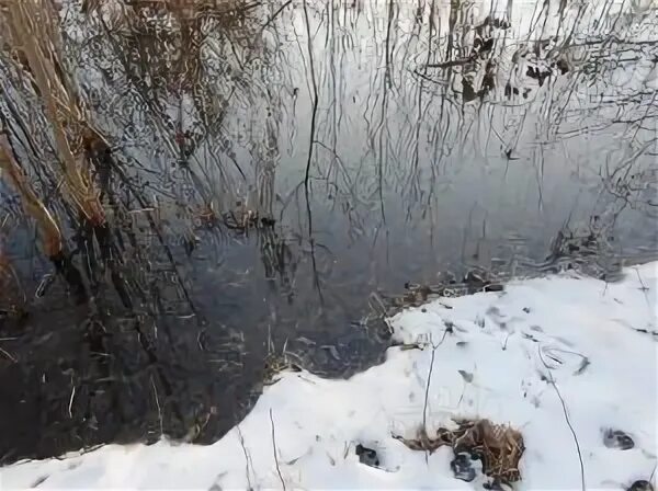 теплый ручей. теплый ручей. река лепля хмао. теплый ручей вологодская область. грифон иванова в налычево.