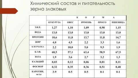 Содержание белка в зерне