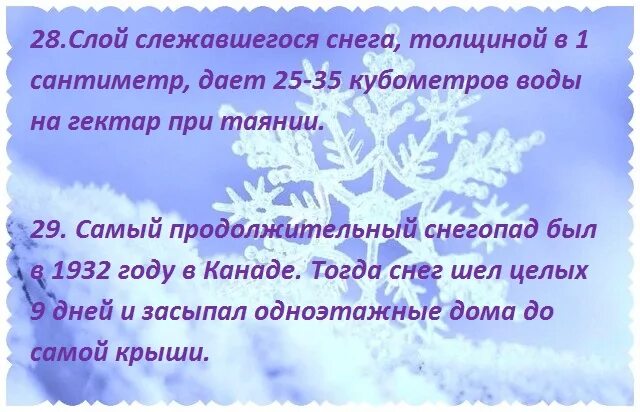 Факты о зиме. Интересные факты о зимующих птицах. Интересные факты о произведении зима. Интересные факты о зиме. Факты о снеге для детей.