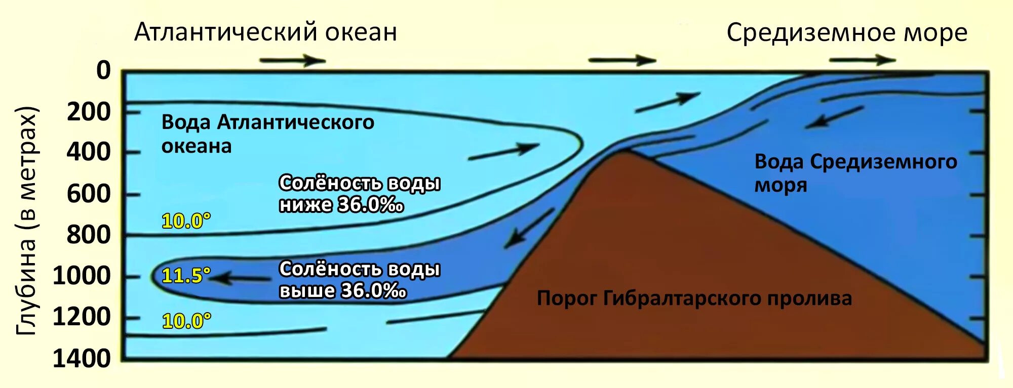 Плотность тихого океана. Вода не смешивается в океане. Перемешивание воды в океане. Соленость воды Средиземного моря. Разная плотность воды в море.