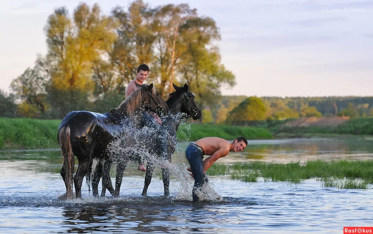 Купание на лошадях. Купание лошадей в реке. Купание на лошади фотосессия. Купание в речке на лошадях. Купание лошадей