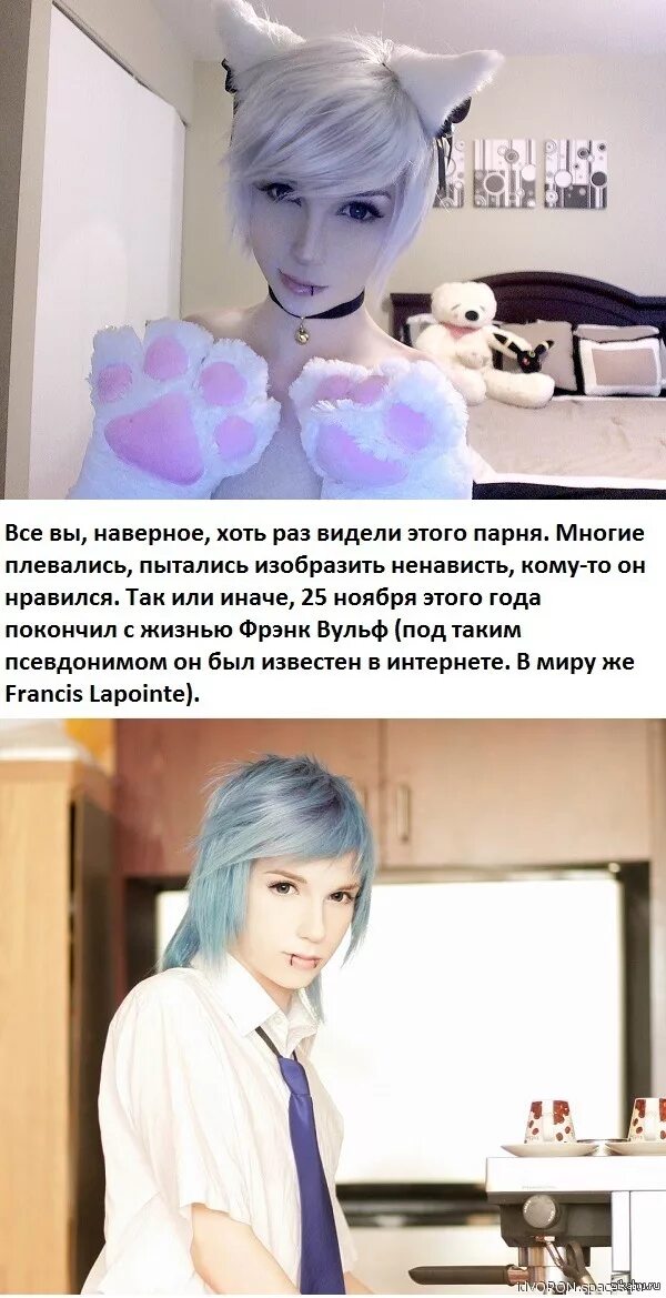 Почему мужикам нравятся трапы. Люблю трапов. Мнэем с бородатным мужиком. Трап пикчи. Почему трап.