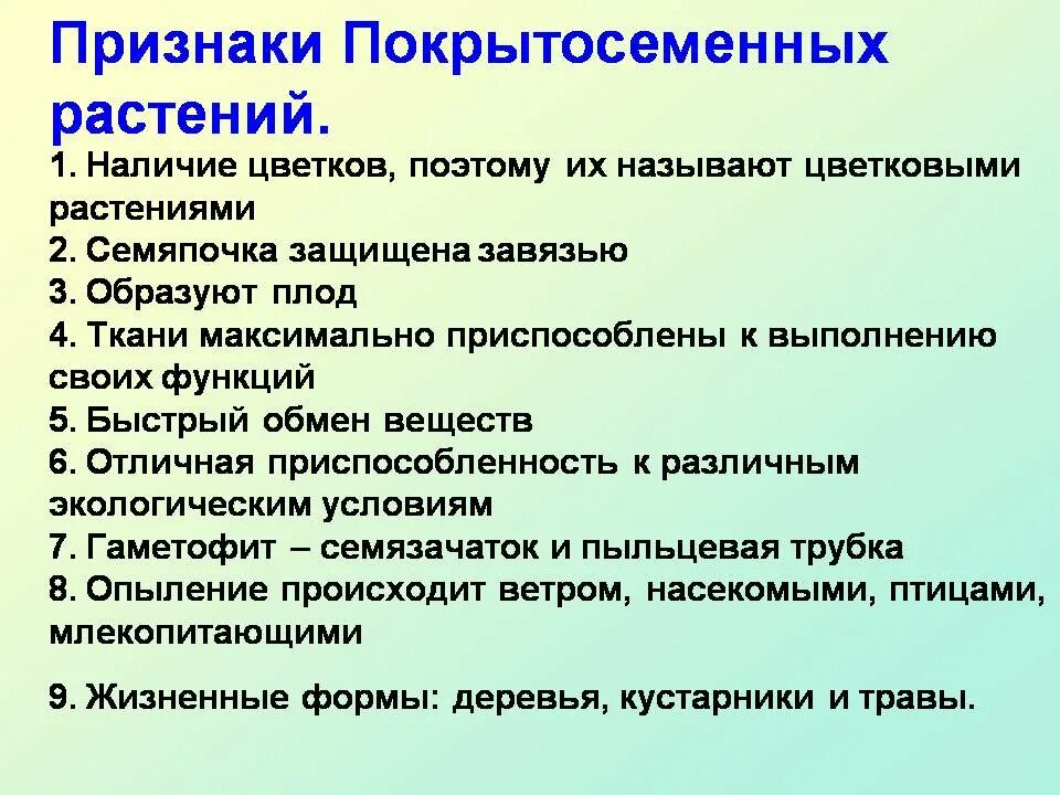 Общая характеристика покрытосеменных. Характеристика отдела покрытосеменных растений. Общая характеристика отдела цветковые. Признаки покрытосеменных растений.