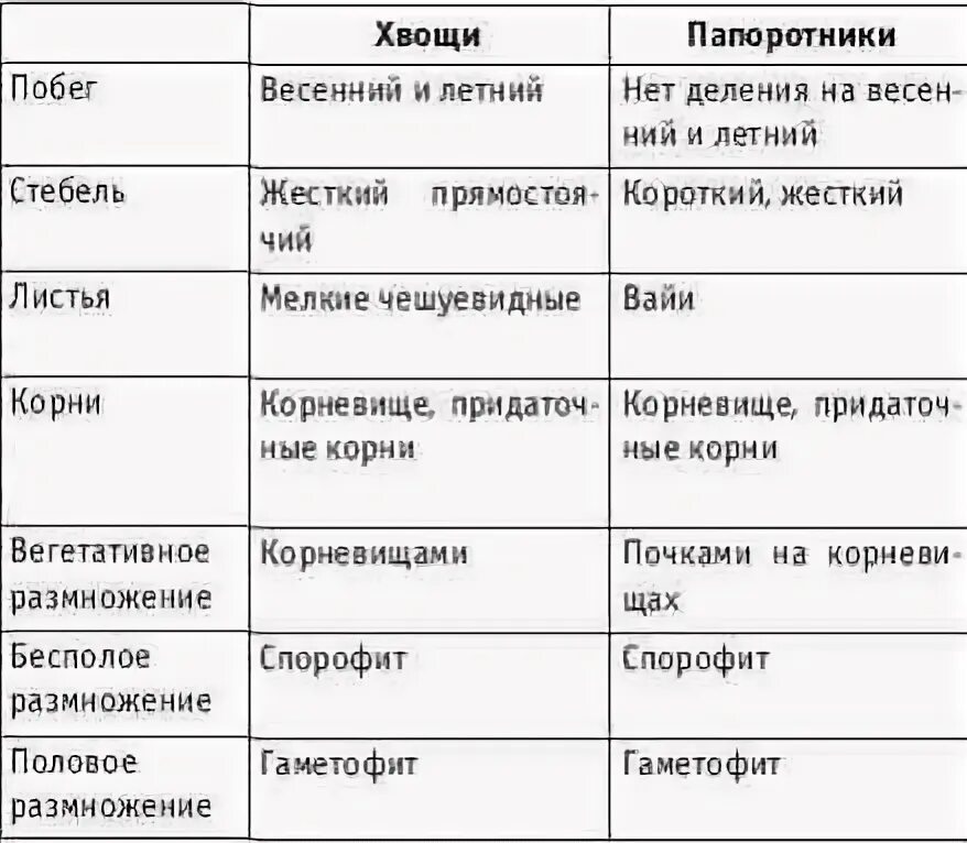 Папоротники мхи различия. Сравнительная характеристика папоротников хвощей и плаунов. Сравнительная характеристика мхов плаунов хвощей и папоротников. Отличие папоротников и хвощей таблица. Таблица по биологии 7 класс папоротники хвощи.