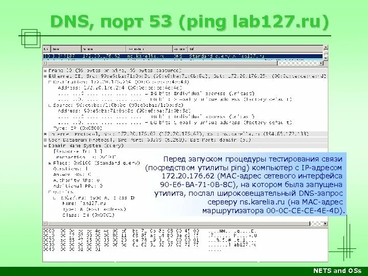 DNS порт. Порт для DNS 53. TCP порт для DNS. Внешний порт ДНС. Dns какой порт