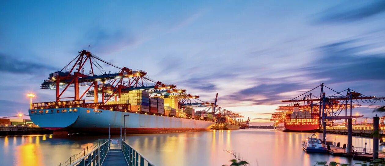 Морской порт баррос. Экспресс логистика. Контейнерный терминал трансконтейнер. Dsv судно. Shipping course.