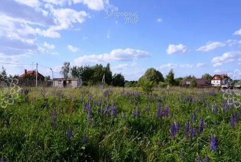 Еганово московская область