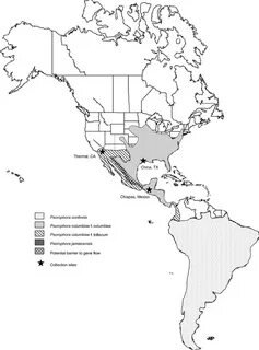 United States Hemisphere