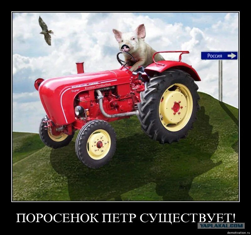 Красный трактор поросенка петра. Мужик на тракторе. Девушка на тракторе. Девушка на тракторе. Фотосессии.