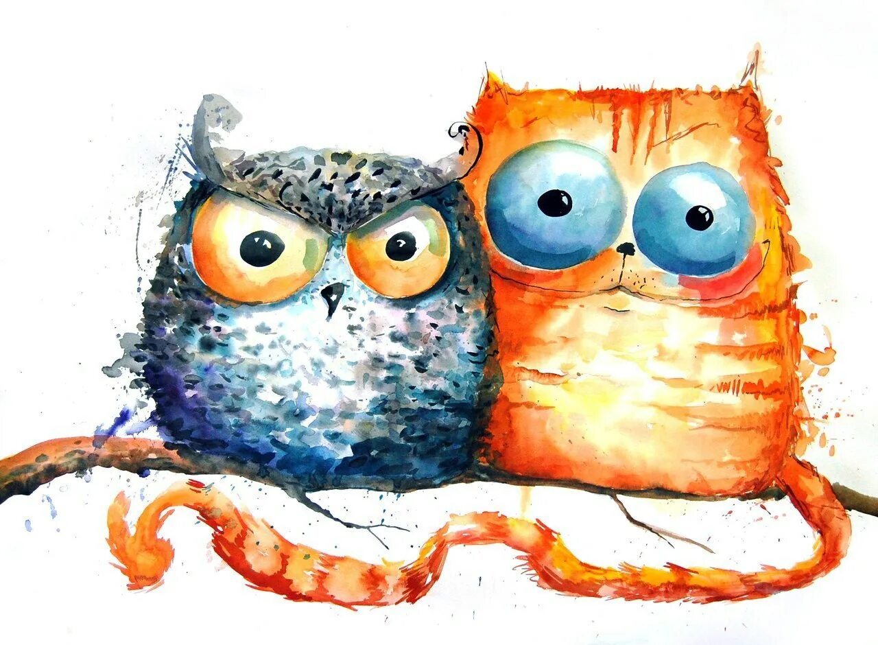 совенок фуку и котенок маримо. дружба животных. сова юмор. совы. сова милота.