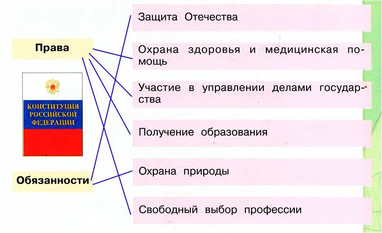 Гражданин рф принадлежащее к. Обязанности гражданина России.