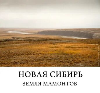 Новая сибирь